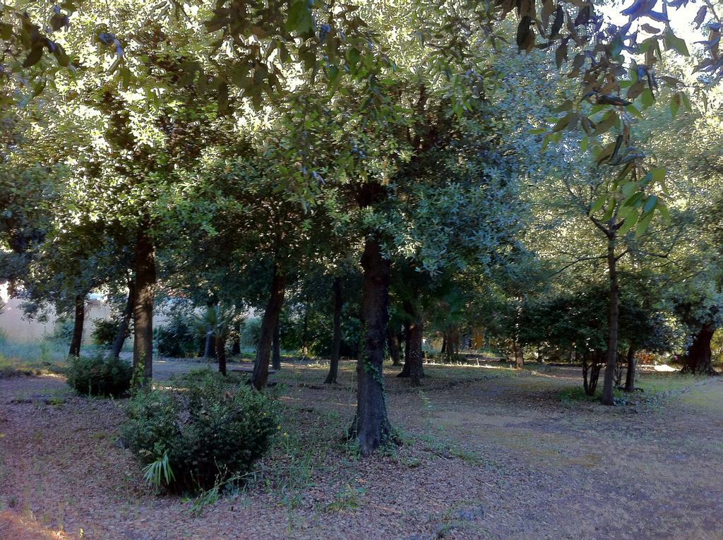 Alojamento de Turismo Rural Graziani