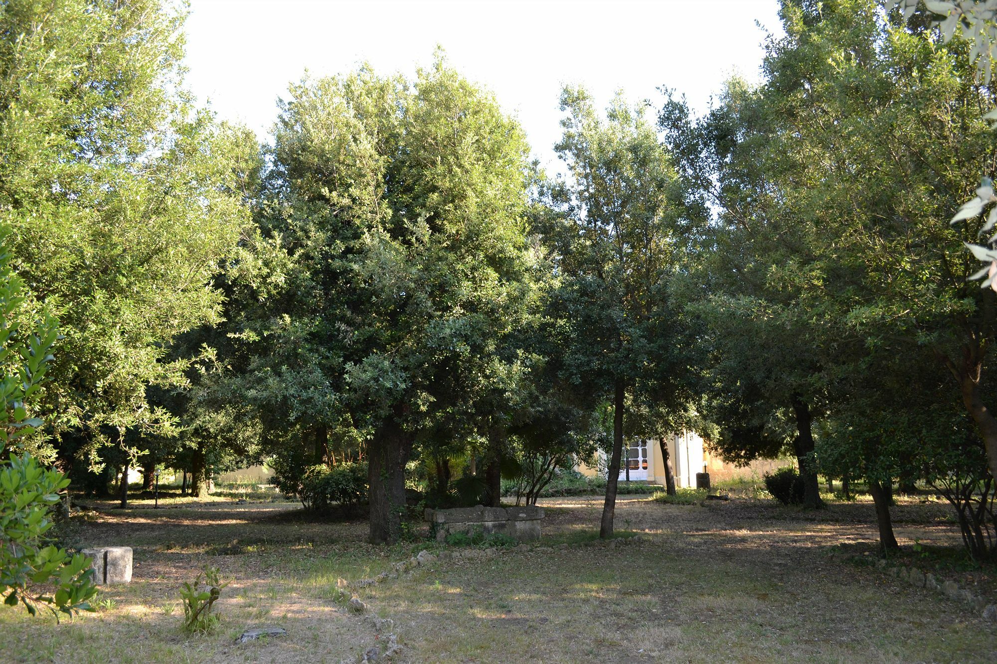 Alojamento de Turismo Rural Graziani Vada